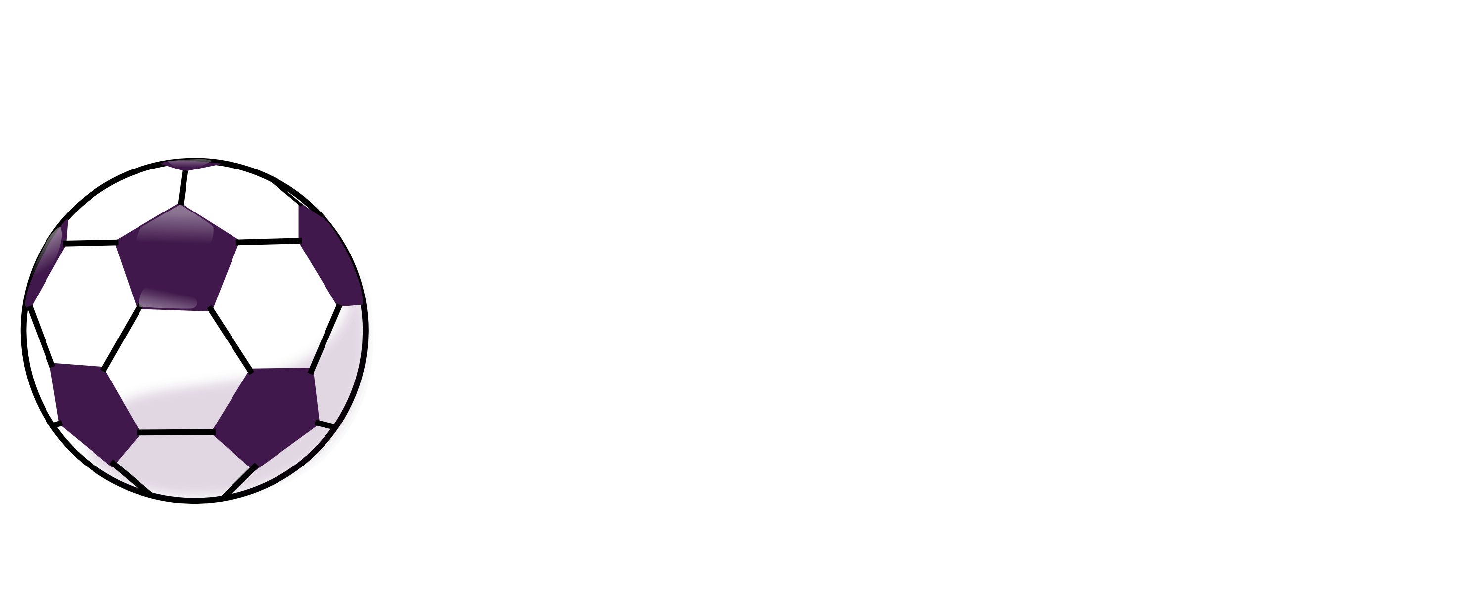 Sure Tips 360